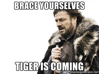 Illustration for article titled TIGER??? NOOOOoooooooo...